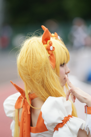 星空体育下载app